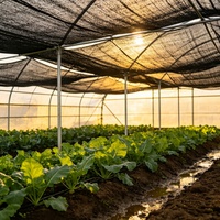 Zwarte HDPE schaduwdoek 50% 70% 90% UV-werend, heavy-duty gebreid, voor landbouw, kas, groenteteelt, kwekerij
