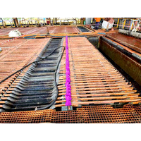 Cellule d'électrolyse d'approvisionnement d'usine Cellules d'électrolyse Concentré de cuivre Concentré de zinc Electrowinning