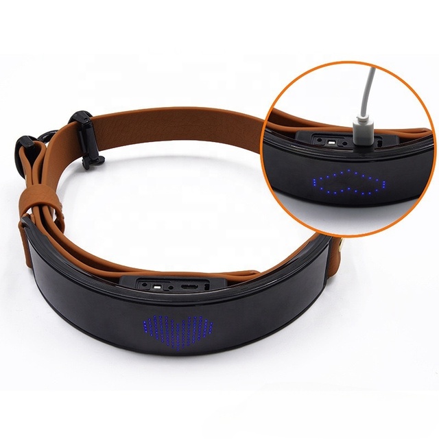Wholesale Waterproof Flashing Light up Reflective Pet Collar Adjustable USB Type-C Recharge Luxury LED Luminous Collar for Dog