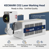 Nouvelle machine de marquage laser CO2 haute vitesse 30W compatible PLT pour bouteilles PET de boissons, avec marquage volant de la date, de la date d'expiration et du code de lot, certifiée CE ISO