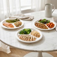 Assiette ronde jetable en bagasse biodégradable, robuste et écologique, 3 compartiments, pour camping, fêtes et usage individuel