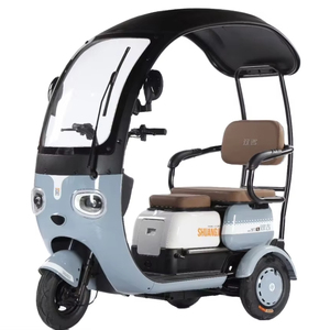 โรงงานผู้ผลิตขายส่งรถสามล้อไฟฟ้ากำลังสูง 60V 72V 1000W สำหรับผู้โดยสาร 2 ที่นั่ง สำหรับผู้ใหญ่ ขายดี - Product Image 1