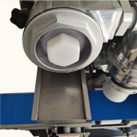 Nouvelle machine électrique automatique pour la fabrication de boules de protéines, usage en boulangerie, farine de qualité alimentaire, acier inoxydable 304, haute capacité 5000/h, fraîcheur garantie