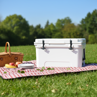 Glacière isotherme rotomoulée en plastique à roulettes de 45 L, étanche, à motif rayé, portable pour le camping et les voyages en extérieur