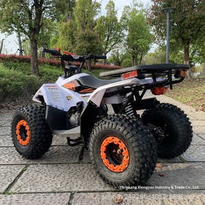<span class=keywords><strong>Mini</strong></span> <span class=keywords><strong>moto</strong></span> tout-terrain XYPS 110cc 2 temps Little Falcon - Product Image 2
