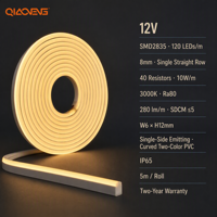 Bande LED néon flexible en PVC basse tension 12V 2835 120 LED 3000K 10W par mètre IP65 pour l'éclairage de chambre et de jardin