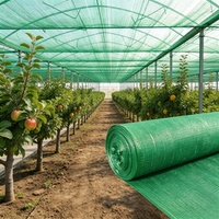 Zwaarwegend rechthoekig geweven HDPE schaduwnet met 70%-90% schaduwgraad, UV-bestendig voor kas, tuin en boomgaard