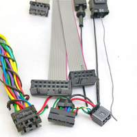 Faisceau de câblage à ruban plat de câble en PVC FFC de longueur personnalisée Eurorack pour synthétiseur modulaire motos conducteur en cuivre PBT