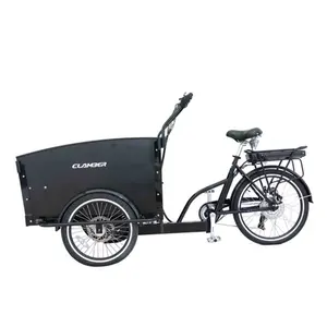 Di alta qualità lucido tre ruote in acciaio elettrico Cargo Bike per adulti passeggeri triciclo elettrico con corpo aperto tipo