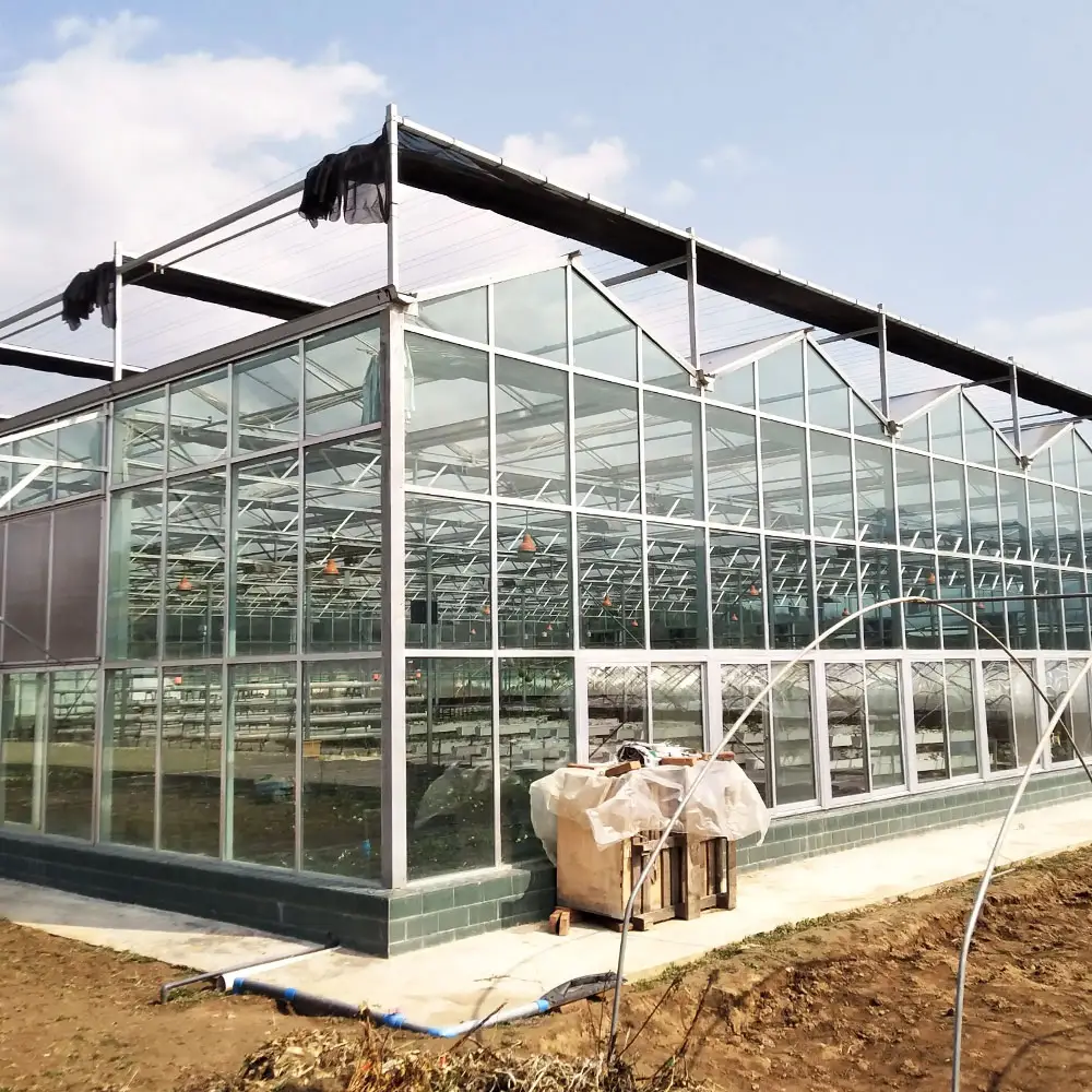 ירוק בתי חקלאות מסחרית חממה זכוכית חממה יצרן עבור עגבניות