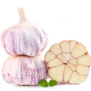 Healthy Garlic Hot Sales Chinese /Fresh Garlic from China for eat in 20 kg mesh bags/cartons
