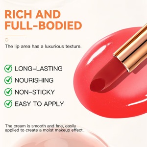 Set de Lápices Labiales con Logotipo Personalizado, Bolsa Impermeable, Lápiz Labial Vegano Hidratante de Larga Duración con Acabado Mate y Brillante, Directo de Fábrica - Product Image 5