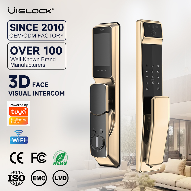 Fully Automatic Remote Unlocking TUYA WiFi Facial Recognition Fingerprint Password Smart Lock with QB40 Mortise for Wood Door · image 5