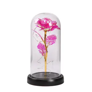 Hadiah kreatif untuk ulang tahun pernikahan Hari Valentine Galaxy Rose memikat bunga dengan lampu LED di kubah kaca