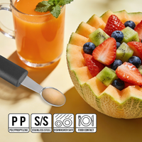 Penjualan Terlaris Alat Pengambil Biji Buah Melon dari Baja Tahan Karat dengan Pegangan Nyaman untuk Penggunaan di Rumah dan Toko Roti.