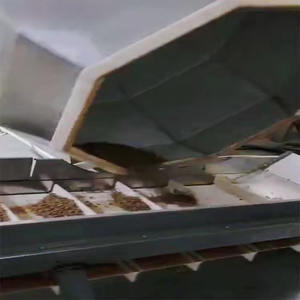 Máquina automática de comida para perros, prensa en frío saludable, máquina de aperitivos para perros, línea de producción de galletas para perros - Product Image 1