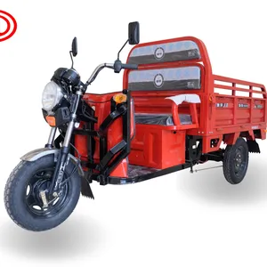 3 wheel electric rickshaw cheap low speed trikes motorcycle for cargo delivery electric cargo tricycle for adult