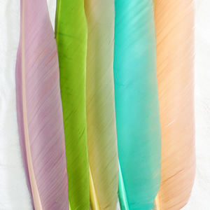 Bút Bi Quill Chất Lượng Cao Bút Bi Lông Màu Sắc Khác Nhau - Product Image 2