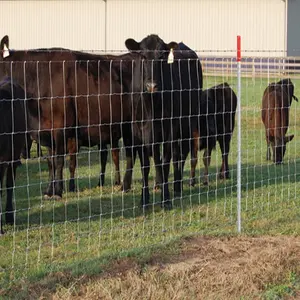 Hinge joint cattle wire mesh 25mm deer barrier animal guard field fence