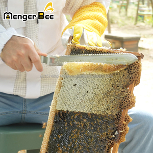 Cheap New Manual Beekeeping Tools Z-Shape Stainless Steel Solid Wood Serrated Blade Beehive Uncapping Knife for Harvesting <b>Honey</b> - Product Image 3