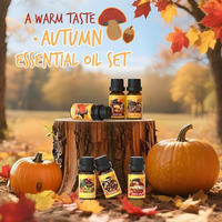 Ensemble d'huiles parfumées d'automne pour diffuseur, senteurs d'automne pour la fabrication de savons et de bougies : cidre épicé, sirop d'érable, cannelle, tarte aux pommes