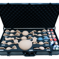 Simulateur gynécologique avancé avec modèle d'entraînement médical à l'anatomie réaliste pour la pose d'un DIU et l'examen laparoscopique