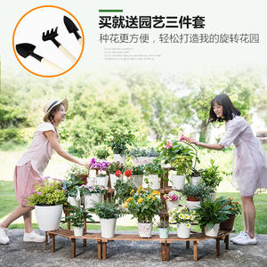 Étagère à fleurs en bois massif à plusieurs niveaux, sur pied, démontable, design minimaliste moderne pour salon, balcon intérieur - Product Image 3