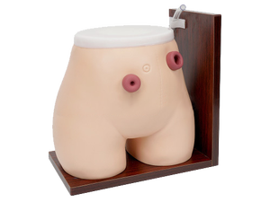 Mô hình điều dưỡng xương - Product Image 3