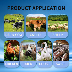 Inhibidor de moho soluble para rumiantes, aves, cerdos, piensos que previene el envenenamiento por micotoxinas y mejora la salud - Product Image 4