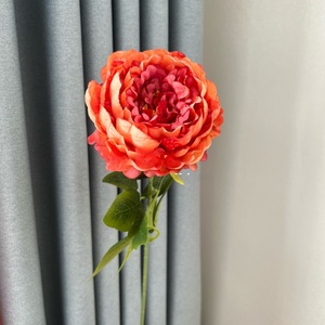 Sắp xếp vòm tường nhiếp ảnh trang trí phòng khách nhìn thực chất lượng cao Nhà máy lớn lối đi hoa xoăn liễu chi nhánh - Product Image 2