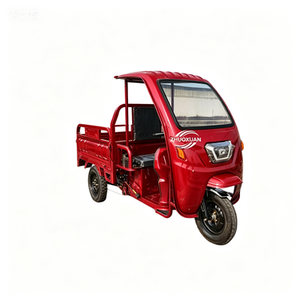 Open Type 3 Wheel Electric Vehicle <b>Passenger</b> Cargo Dual Use School Pickup Trike - Product Image 1