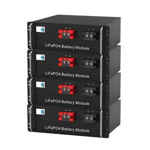 Rack Mount Lifepo4 24V 50Ah 100Ah Bluetooth Solar Portable Energy Storage System 24v lifepo4 battery Phosphate Battery