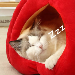 Cama para Gatos Pumpkin Cat Nest, Lujo Sostenible, Semi-Cerrada, Cómoda para Gatitos, Uso en las Cuatro Estaciones, Desmontable - Product Image 5