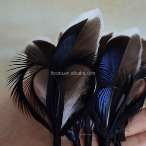 Tùy Chỉnh Thiết Kế Phụ Nữ Mộng Hat Lông Phụ Kiện Người Đàn Ông Của 7-15Cm Thổ Nhĩ Kỳ Gà lôi Lông Cho Mũ Trang Trí - Product Image 2