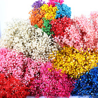 Fleurs séchées naturelles, gypsophile fraîche, bouquets de fleurs séchées, souffle de bébé, cadeau pour la décoration de mariage, décoration de la maison