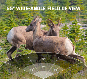 Keepguard KG896 caméra de jeu cellulaire OEM ODM 4G caméras de sentier de la faune - Product Image 5