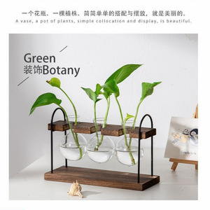 Desktop Hydroponic Glass Vase With Wooden And Iron <b>Frame</b> For Pothos <b>Plant</b> Display Home Decor - Product Image 3
