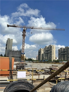 Precios de Fábrica Grúa Torre de Construcción China Usada de 60m con Base Fija, Motor y Caja de Cambios, Capacidad de 10t, en Perfecto Estado - Product Image 3
