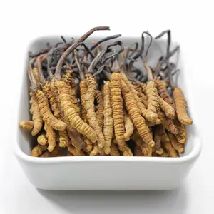 Iyi fiyat Nagqu üstün Tiens karmaşık cordyceps longrich organik kurutulmuş Tibet Cordyceps militaris