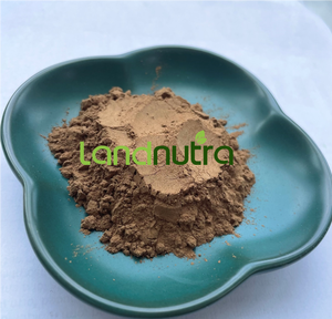 สารต้านอนุมูลอิสระ, เห็ดกินได้ยอดนิยม: f.velutipes/ เห็ด Enoki/สารสกัดจากเห็ดเข็มทอง - Product Image 3