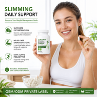 Capsules de soutien métabolique OEM, capsules de soutien énergétique, contrôle de l'appétit, gestion du corps, complément alimentaire, capsules de L-carnitine