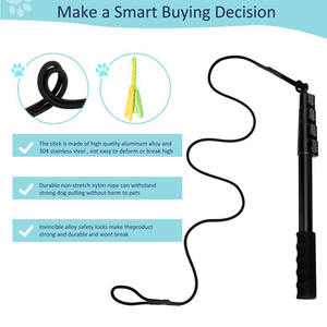Hoge Kwaliteit Sporter Interactief Huisdier Speelgoed Training Trekken Honden Oefenapparatuur Uitschuifbare Flirtstok - Product Image 4