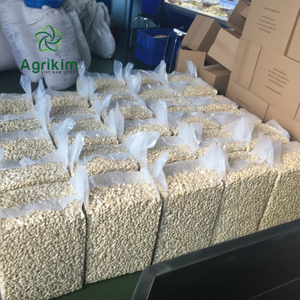 [ผู้ผลิตที่เชื่อถือได้] เคอร์เนลเม็ดมะม่วงหิมพานต์ดิบที่ได้รับการรับรองอย่างเต็มที่ในราคาที่ดีที่สุด + 84363565928 - Product Image 1