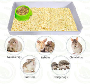 Juego de Parque Infantil de Plástico para Hámster con Alfombrilla Antideslizante y Comedero, Accesorios de Hábitat Seguros y Resistentes a Mordeduras - Product Image 6