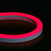 Lampu Tali LED Tahan Air IP67 dengan Kontrol Remote/Aplikasi, Sinkronisasi Musik, Warna-warni, Fleksibel, Lampu Strip LED Neon