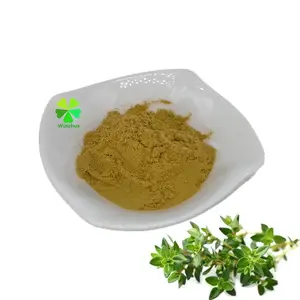 Poudre d'extrait de thymus de feuille de thym Fabricant de haute qualité 10:1 TLC Herbal Extract Curry Leaf Seeds to Plant 2 Years Lotus Leaf