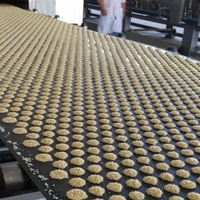 Machine automatique de pressage et de formage de biscuits pour petites entreprises, machine à fabriquer des biscuits au gingembre, prix