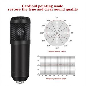 Microphone d'enregistrement professionnel OEM <span class=keywords><strong>pour</strong></span> diffusion en direct sur YouTube, microphone à condensateur BM800, pièces de microphone, <span class=keywords><strong>carte</strong></span> <span class=keywords><strong>son</strong></span> avec support de bras, kit de filtre anti-pop - Product Image 4
