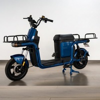 Nouvelle conception de scooter électrique, moto Kiwo Style, moteur 800W/500W, moteur à moyeu arrière, cadre en alliage, vélo électrique à 2 roues
