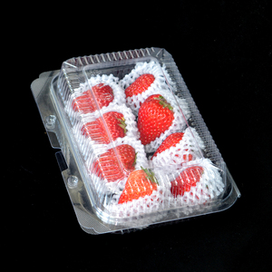 Usa e getta di Plastica Trasparente rettangolo A Conchiglia di Stoccaggio Di Frutta contenitore - Product Image 5